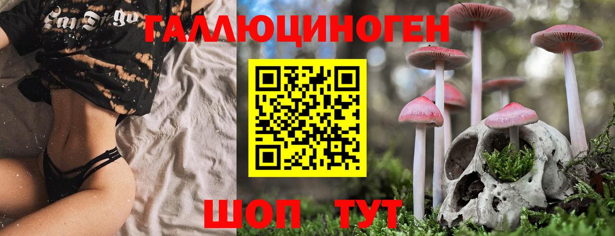Первоуральск  Псилоцибиновые грибы Psilocybe  Псилоцибиновые грибы мицелий  Вход с VPN 